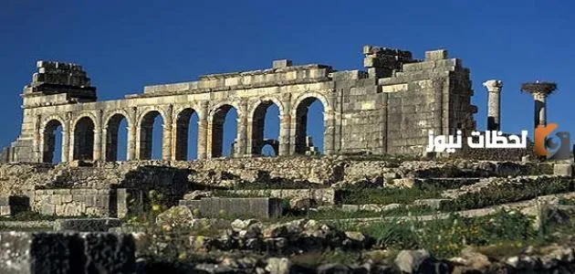 معلومات عن مدينة وليلي