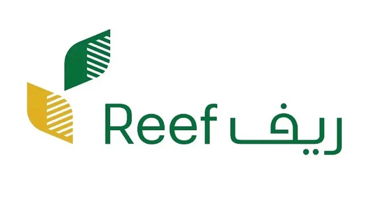 كيفية الاستعلام إلكترونيًا حول دعم ريف شهر فبراير 2025 والشروط المحددة للتقديم