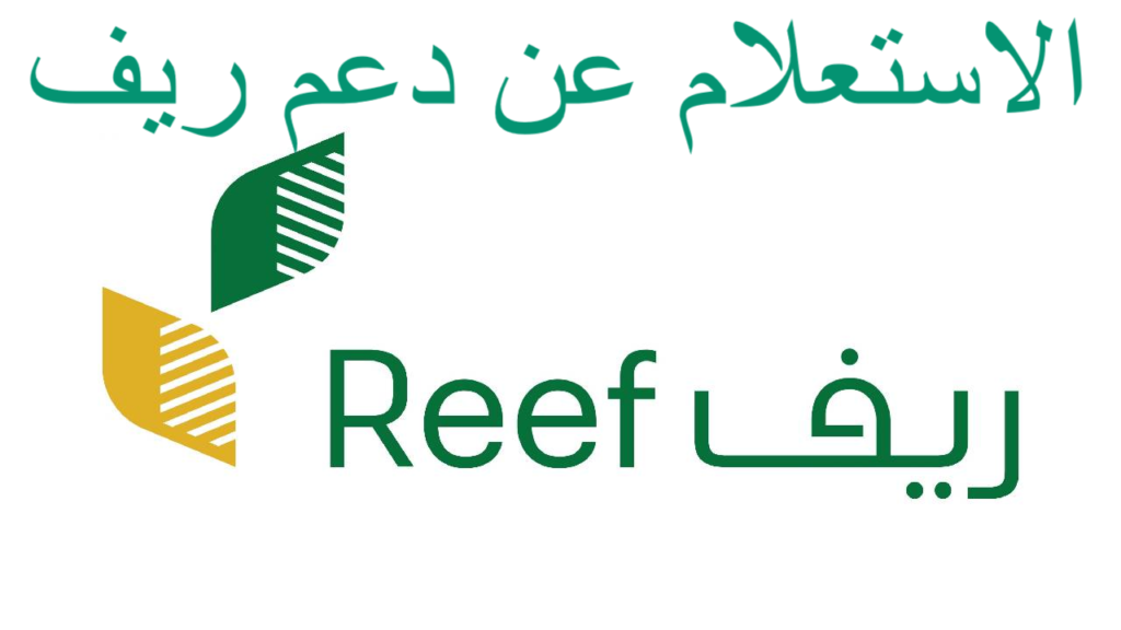 موعد صرف دعم ريف لشهر مارس