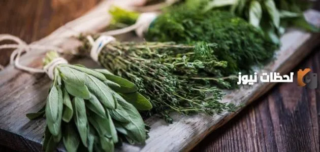 هذا أحدث علاج تأخير القذف بالأعشاب