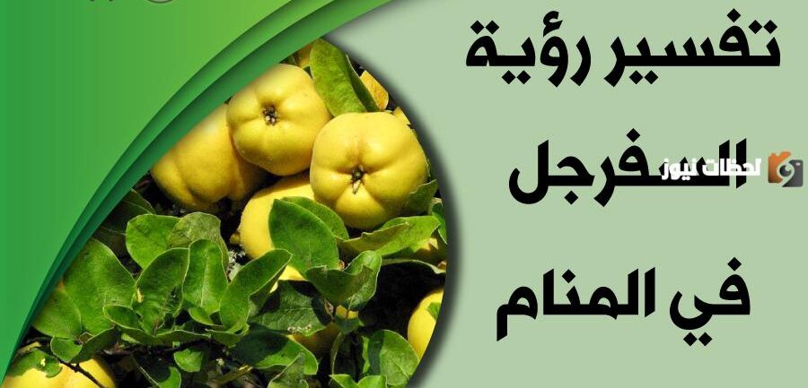 تفسير رؤية السفرجل في المنام