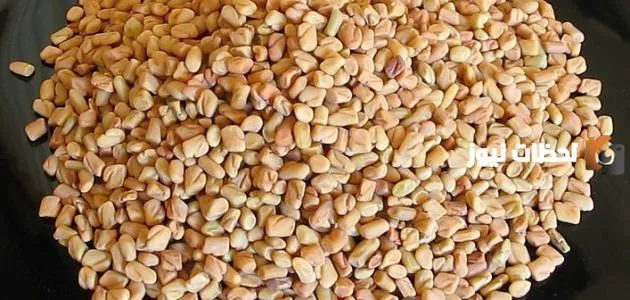 أعشاب لسد الشهية