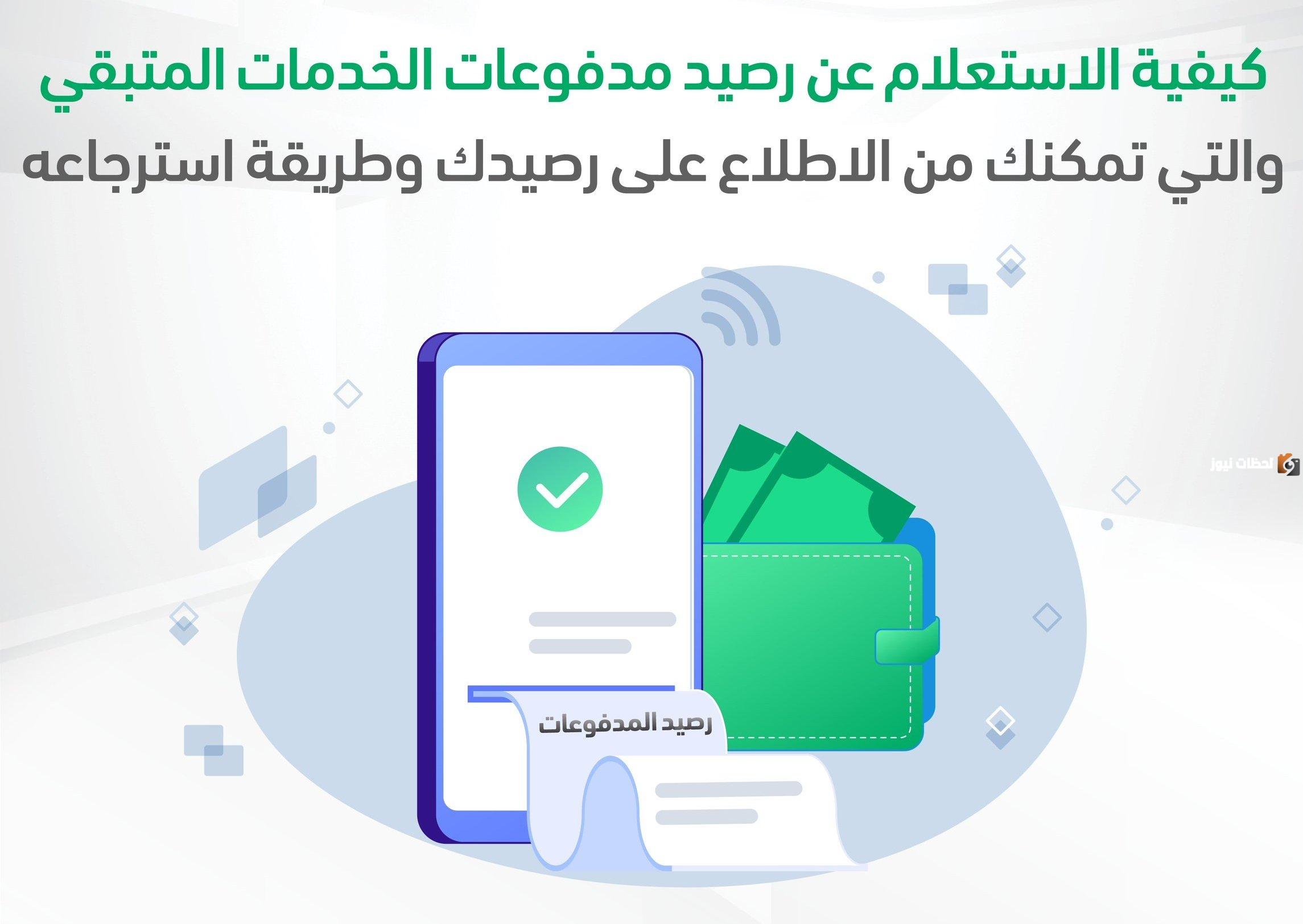 استعلام عن رصيد المدفوعات