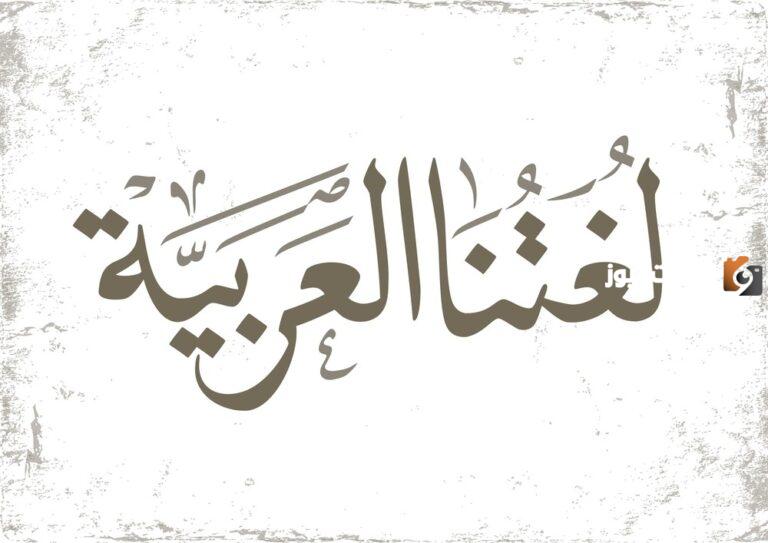 المفرد والمثنى والجمع