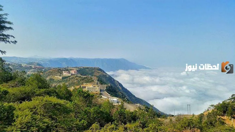 النماص