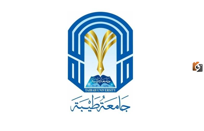 جامعة طيبة