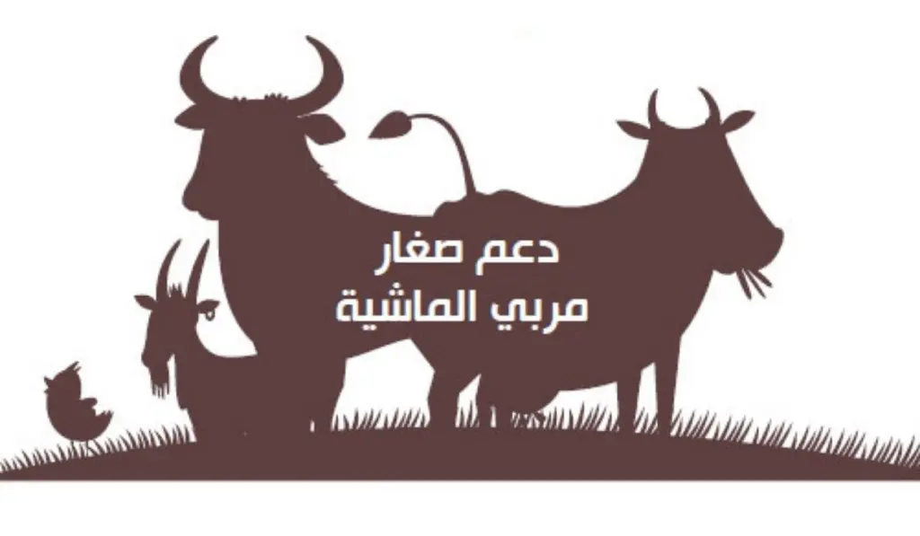 دعم مربي المواشي