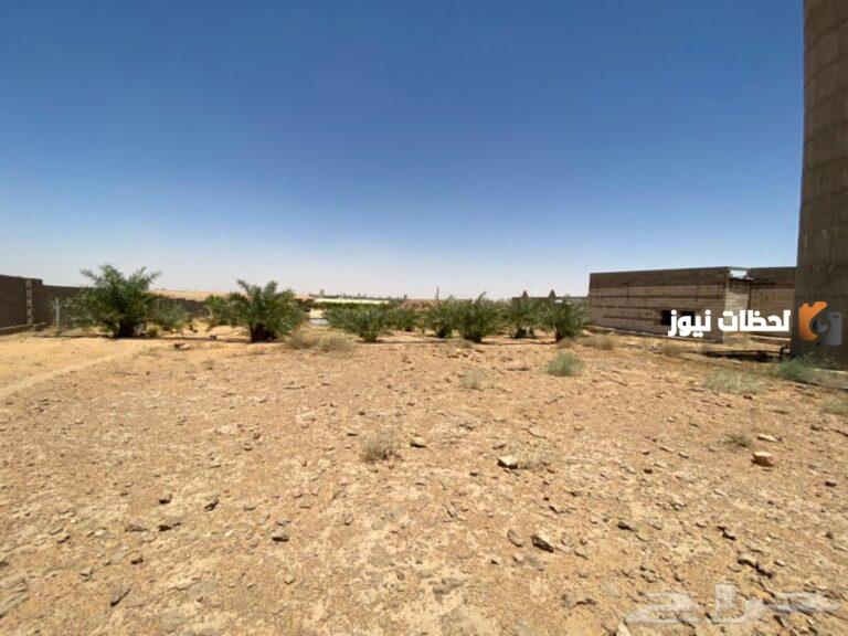 سعر المتر في أراضي جازان الصحراوية