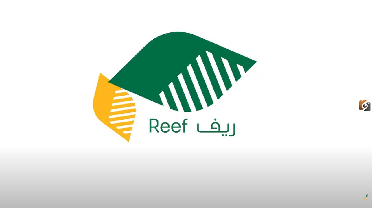 موعد نزول دعم ريف