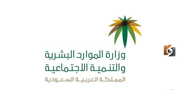 الاستعلام عن نطاق المؤسسة