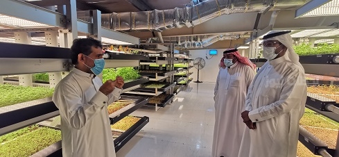 شركة مورق التخصصية الزراعية