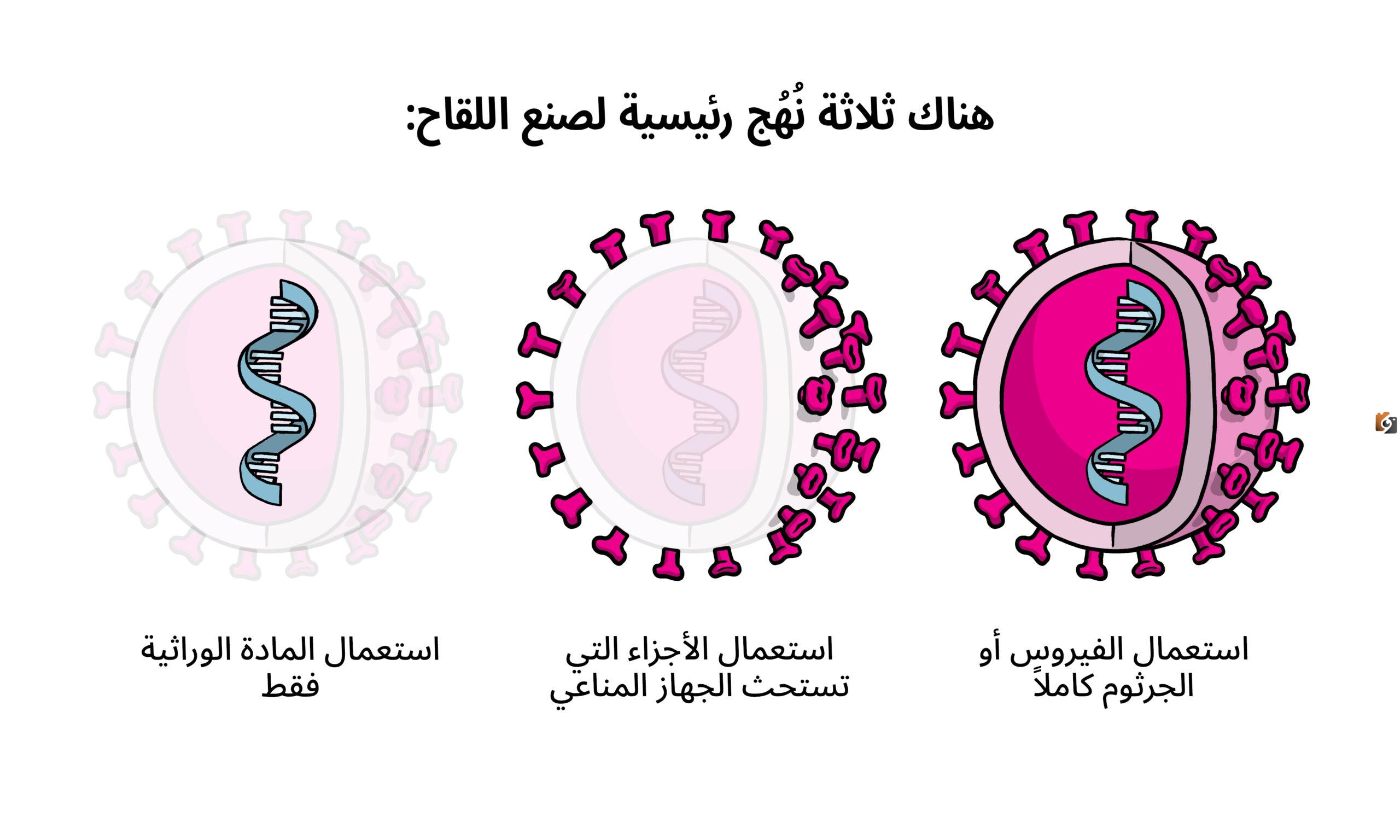 أنواع اللقاحات المطلوبة للسماح بأداء الفريضة