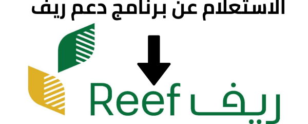 الاستعلام عن دعم ريف