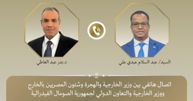 بدر عبد العاطي يجري مكالمة هاتفية مع وزير الخارجية الصومالي الجديد