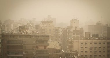 تحذير الأرصاد: أرقام الطوارئ في الجيزة للإبلاغ عن سقوط الأشجار وأعمدة الإنارة