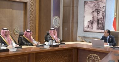 مسؤول سعودي: توجيهات من القيادة في المملكة للتعاون مع الأشقاء في مصر