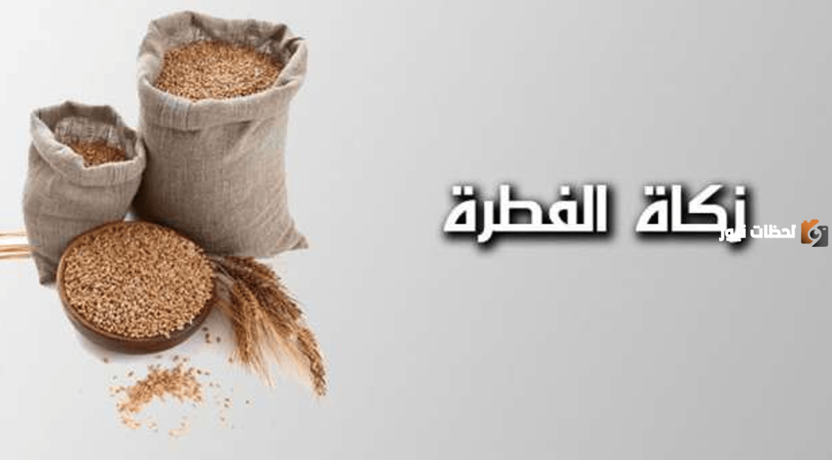 موعد بدء استقبال زكاة عيد الفطر وخطوات استخراج الزكاة عبر المنصة