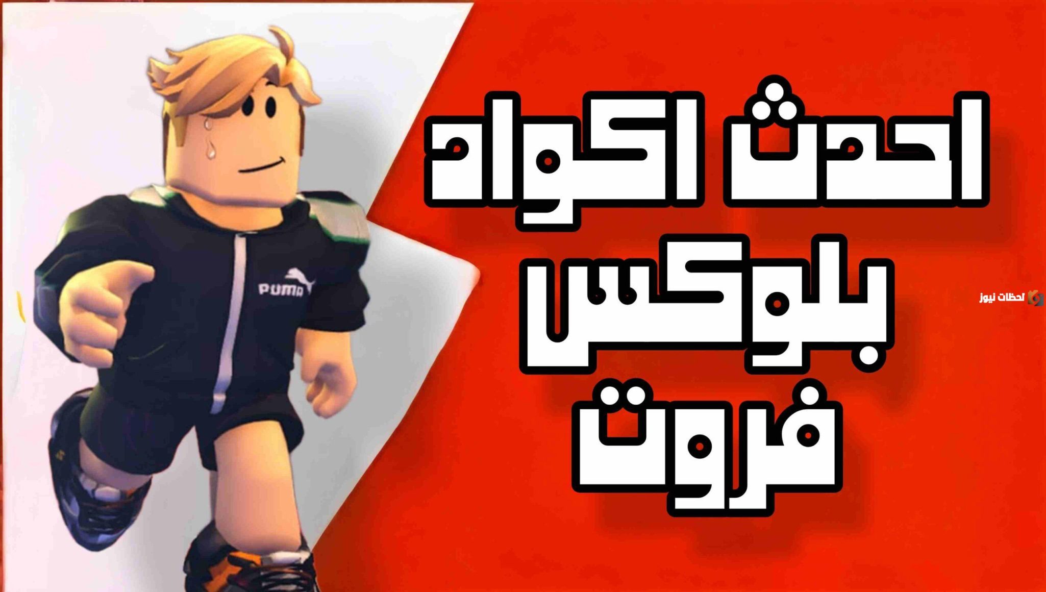 أجدد كودات بلوكس فروت جديده