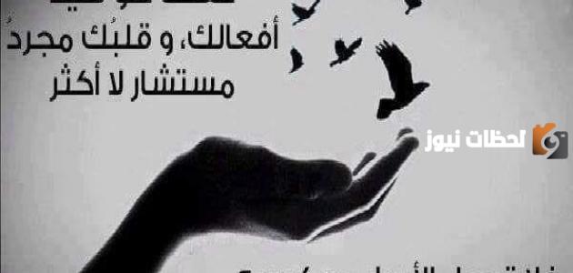أجمل الحكم واقوال عن الحياة