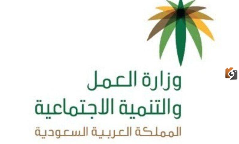 استعلم عن تغيب الوافد