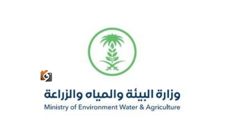 البيئة: بناء 7 محطات لتربية ملكات النحل وإنتاج الطرود بحلول عام 2026