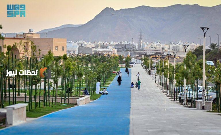 تكنولوجيا الري الذكي للنباتات
