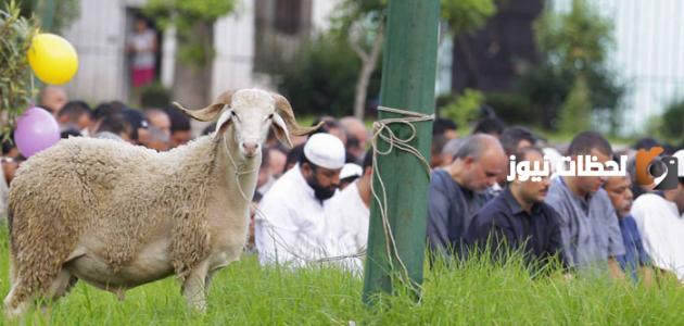 طريقة الاحتفال في المملكة بعيد الأضحى غير