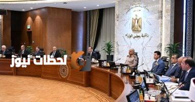 مجلس الوزراء يقر تأسيس "الجامعة المصرية الصينية" كجامعة خاصة