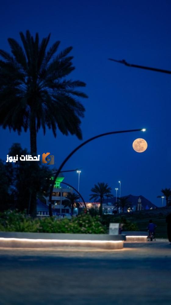 من الجبال إلى السماء: حائل تُروى بعيون جديدة