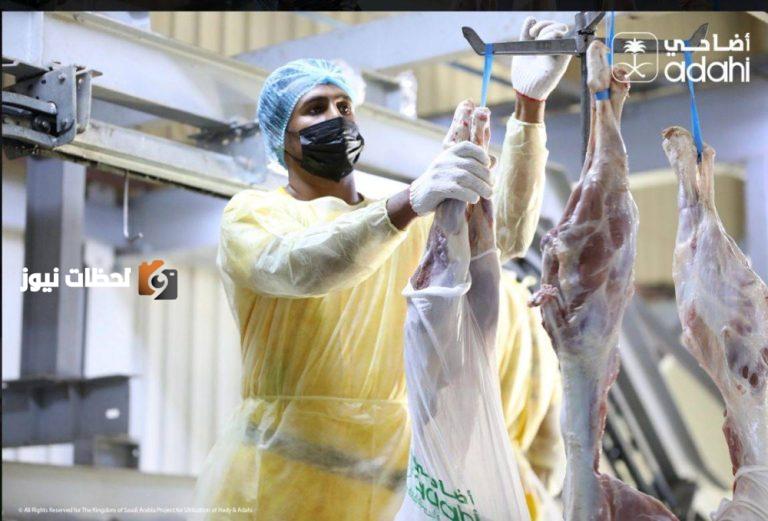 500 جمعية خيرية و27 دولة تستفيد من الأضاحي والهدي