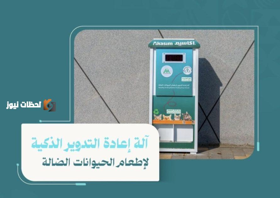 ابتكار ذكي في شوارع حائل لخدمة الحيوانات الضالة