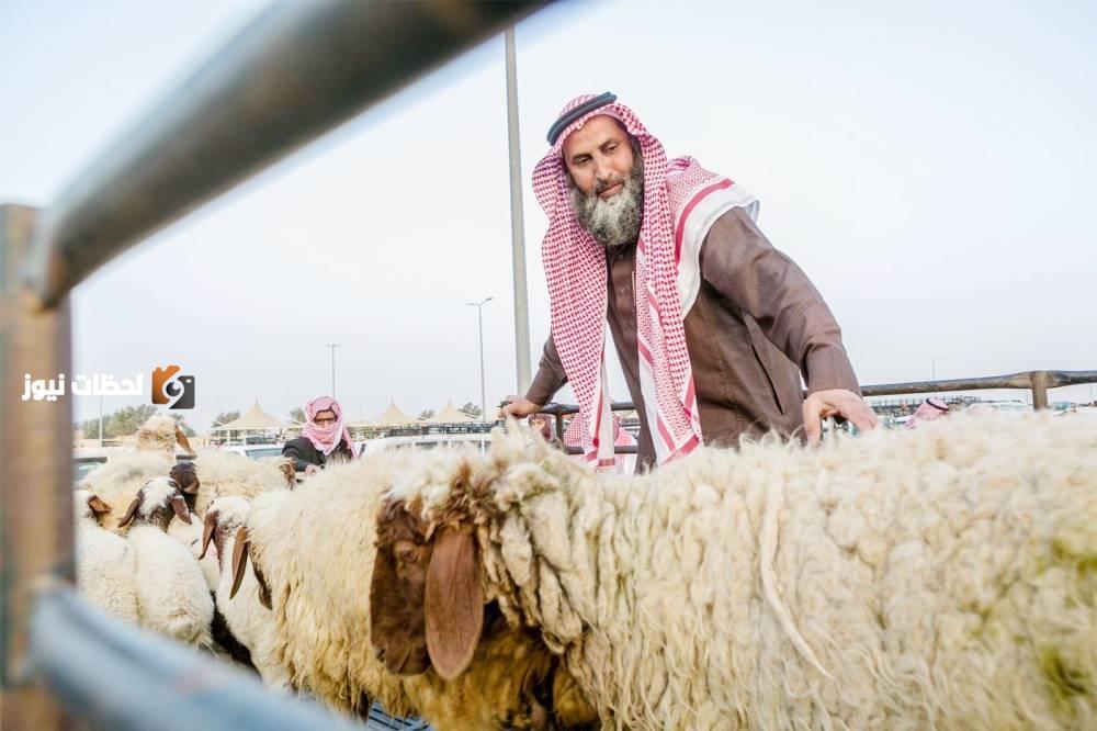 «الأضاحي» تتواجد في السوق الرقمية