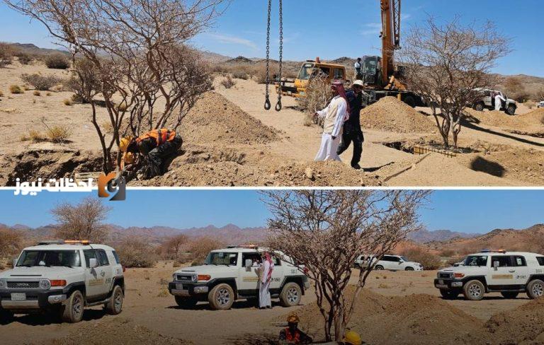 الغطاء النباتي يقوم بنقل 5 أشجار معمرة من نوعي السمر والسيال