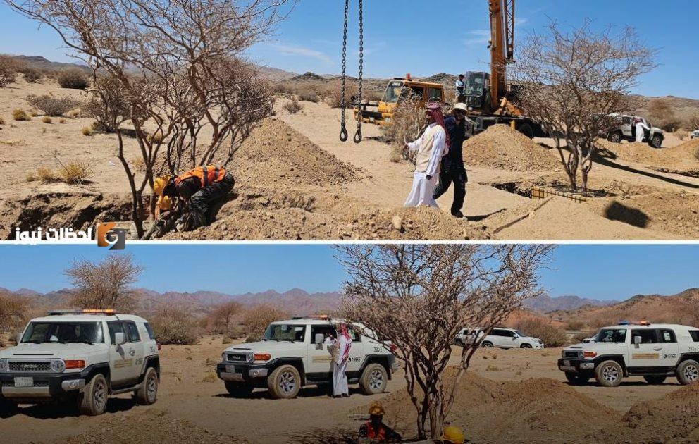 الغطاء النباتي يقوم بنقل 5 أشجار معمرة من نوعي السمر والسيال