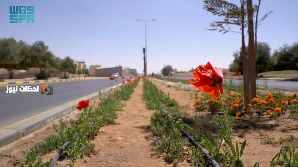 المناطق تتألق بـ 152 مليون شجرة وزهرة