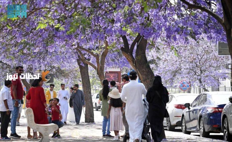 تجاوز عدد السياح 100 مليون للسنة الثانية