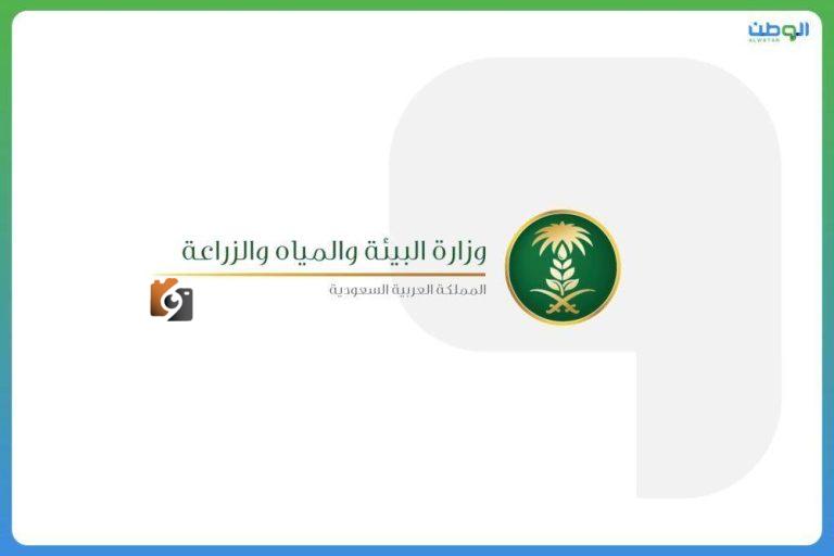 تحرير بيع المواشي الحية بالوزن في أسواق النفع العام خلال شهر محرم