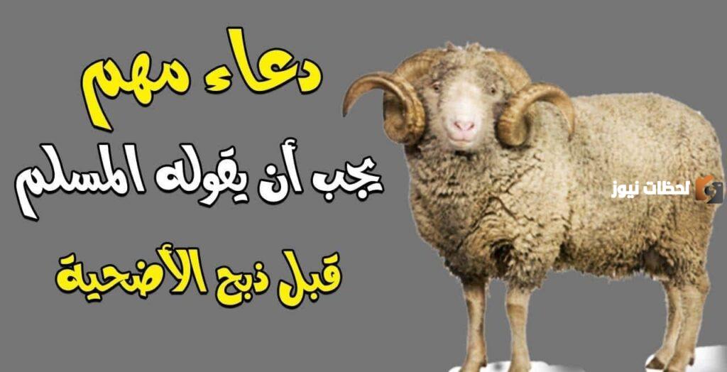 دعاء ما قبل ذبح الأضحية