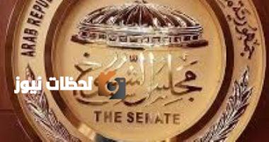 إذا كنت خارج مصر.. تعرف على ما يتطلبه التصويت في انتخابات مجلس الشيوخ