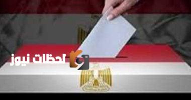 إرشاد الناخب: كل ما يجب معرفته عن عملية التصويت في الانتخابات