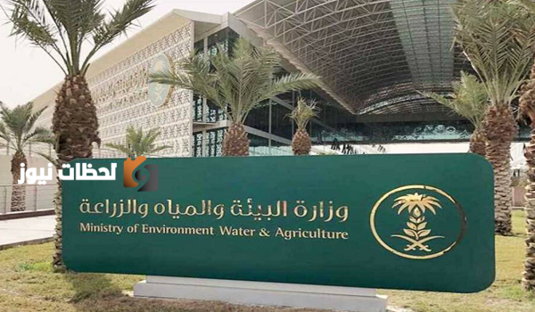 البيئة تطلق المرحلة الثانية لتحدي الابتكار للاستدامة من بوسطن