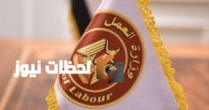 التحديثات على مدار الساعة: وزارة العمل تعلن عن فرص وظيفية في المترو وشركة الكهرباء