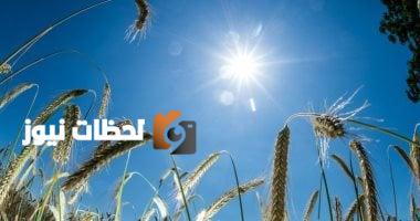 الحسابات الفلكية: فصل الصيف يدوم 92 يومًا و39 ساعة، وتحديد موعد بدء الخريف