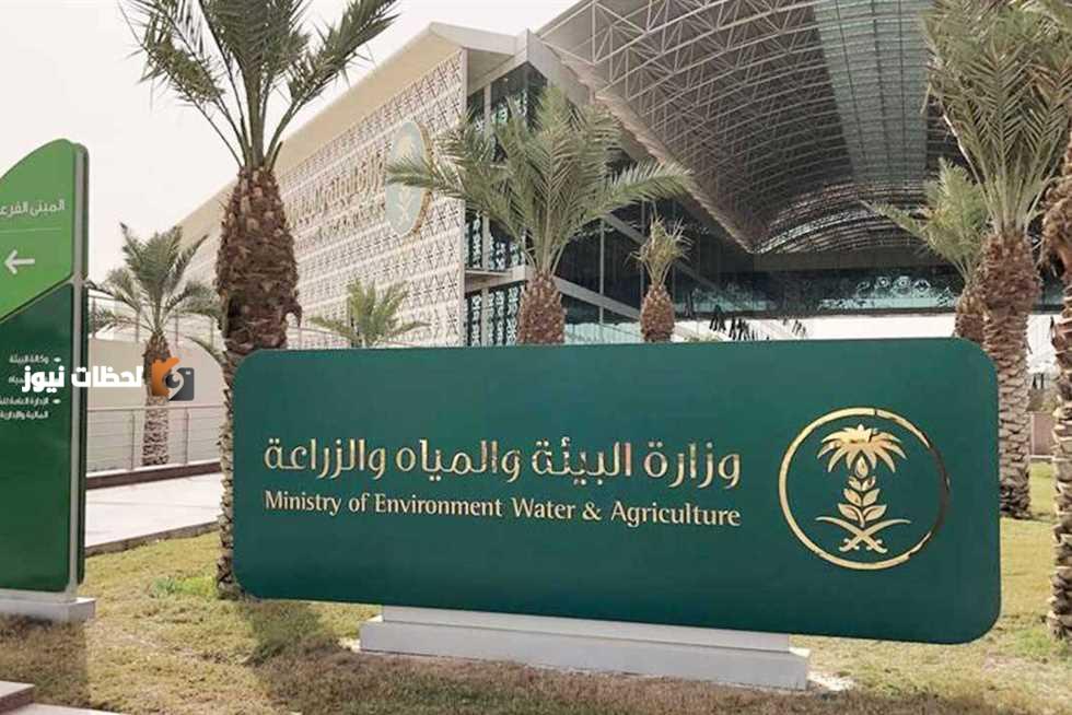 بيئة تقدم فرصة استثمارية لتربية وتسمين اللحوم الحمراء بالمدينة المنورة