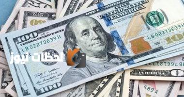 سعر الدولار مقابل الجنيه بالبنك المركزي المصري اليوم الثلاثاء 8 يوليو 2025