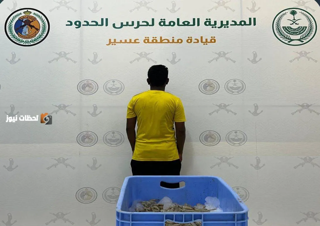 ضبط مخالف لصيد الاسماك دون تصريح في سواحل عسير