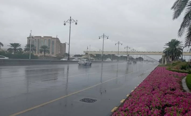 طقس متقلب مع رياح نشطة تثير الغبار في مناطق متعددة اليوم