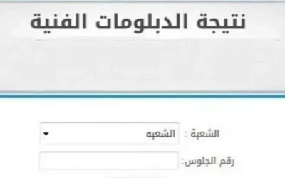 ظهرت نتيجة الدبلومات نظام 3 سنوات في 8 محافظات