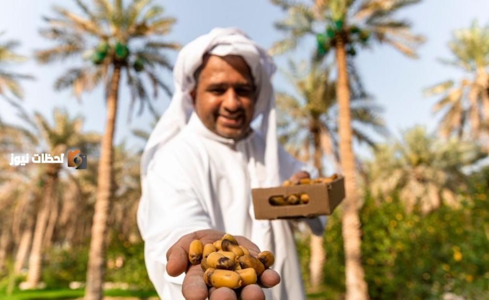 عبوات صغيرة للحد من الهدر وانخفاض سعر الرطب بنسبة 70%
