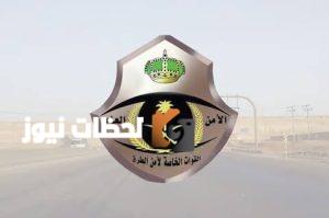 مقيم في مكة يروج 91 كيلوجرام من نبات القات والجهات الامنية تبحث عنه